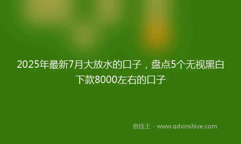 2025年最新7月大放水的口子，盘点5个无视黑白下款8000左右的口子