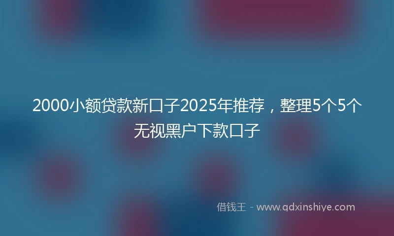 2000小额贷款新口子2025年推荐，整理5个5个无视黑户下款口子
