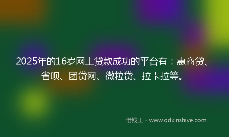 2025年的16岁网上贷款成功的平台有：惠商贷、省呗、团贷网、微粒贷、拉卡拉等。