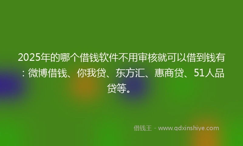 2025年的哪个借钱软件不用审核就可以借到钱有：微博借钱、你我贷、东方汇、惠商贷、51人品贷等。