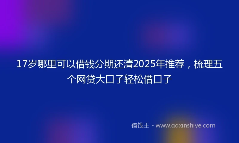 17岁哪里可以借钱分期还清2025年推荐，梳理五个网贷大口子轻松借口子