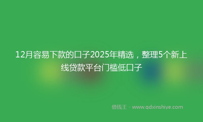 12月容易下款的口子2025年精选，整理5个新上线贷款平台门槛低口子