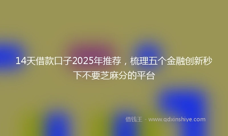 14天借款口子2025年推荐，梳理五个金融创新秒下不要芝麻分的平台