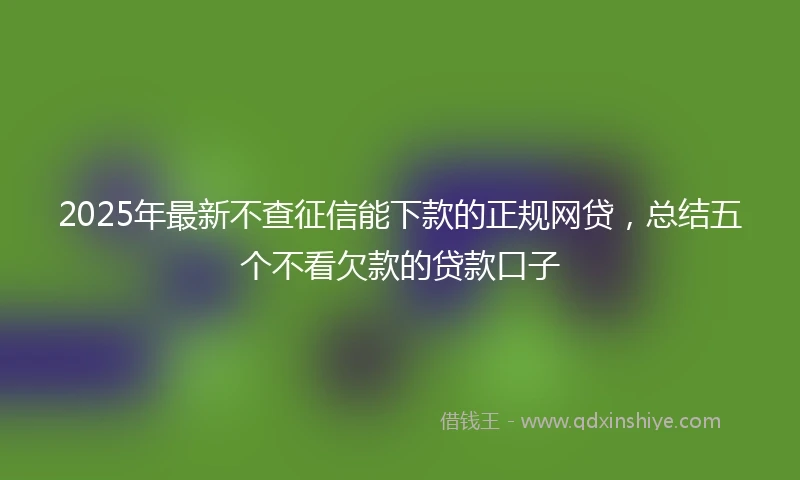 2025年最新不查征信能下款的正规网贷，总结五个不看欠款的贷款口子