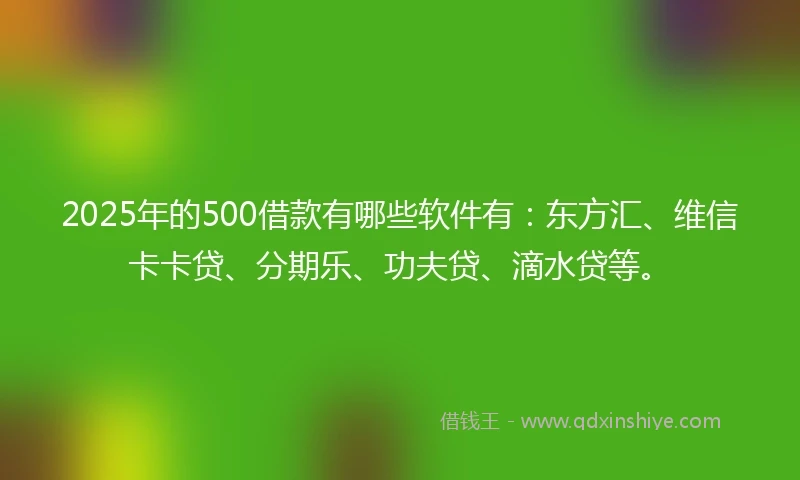 2025年的500借款有哪些软件有：东方汇、维信卡卡贷、分期乐、功夫贷、滴水贷等。