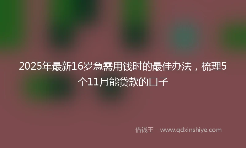 2025年最新16岁急需用钱时的最佳办法，梳理5个11月能贷款的口子