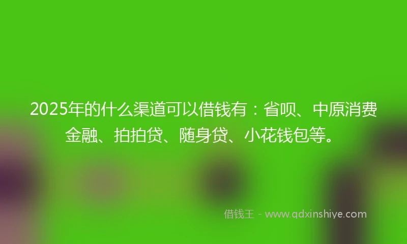 2025年的什么渠道可以借钱有：省呗、中原消费金融、拍拍贷、随身贷、小花钱包等。