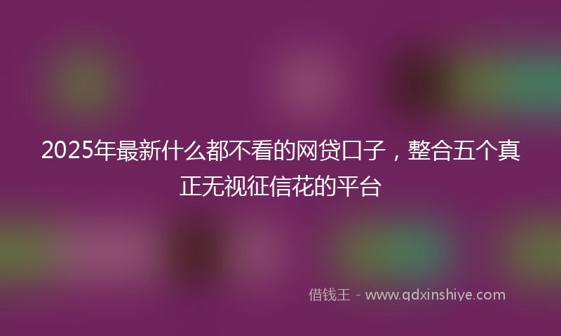 2025年最新什么都不看的网贷口子，整合五个真正无视征信花的平台