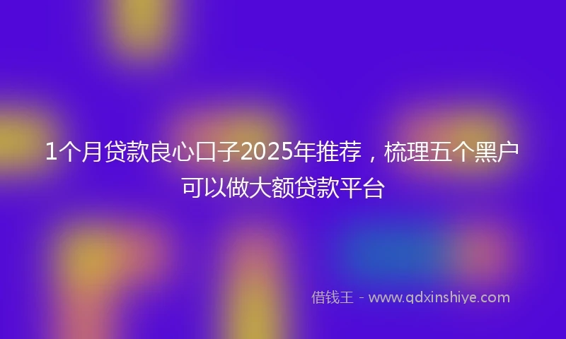 1个月贷款良心口子2025年推荐，梳理五个黑户可以做大额贷款平台