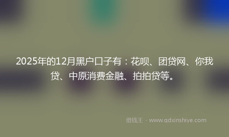 2025年的12月黑户口子有：花呗、团贷网、你我贷、中原消费金融、拍拍贷等。