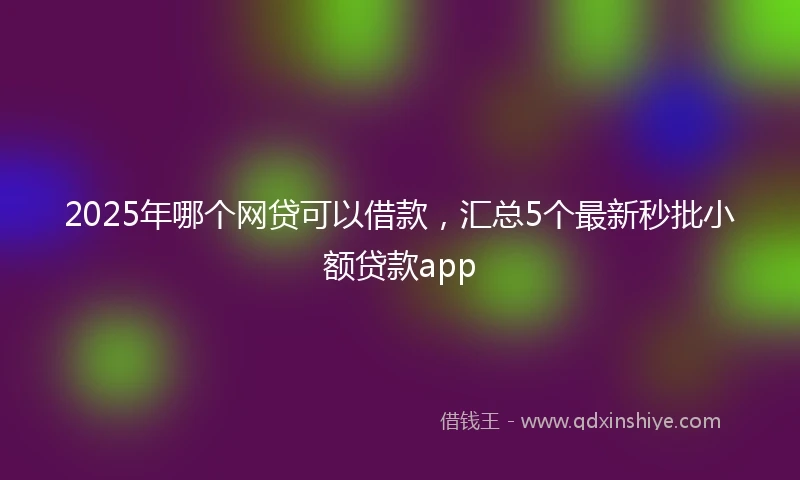 2025年哪个网贷可以借款，汇总5个最新秒批小额贷款app