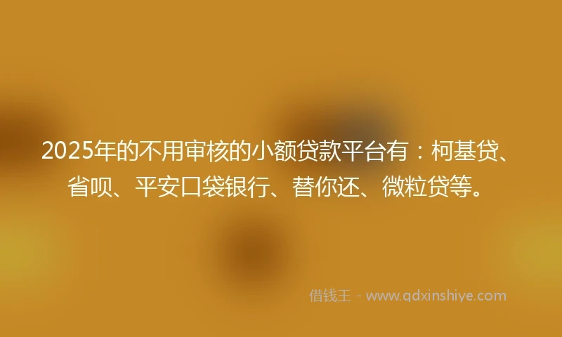 2025年的不用审核的小额贷款平台有：柯基贷、省呗、平安口袋银行、替你还、微粒贷等。