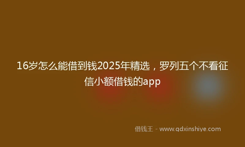 16岁怎么能借到钱2025年精选，罗列五个不看征信小额借钱的app
