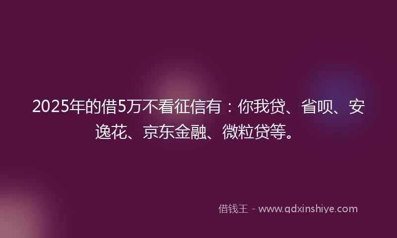 2025年的借5万不看征信有：你我贷、省呗、安逸花、京东金融、微粒贷等。