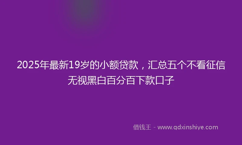 2025年最新19岁的小额贷款，汇总五个不看征信无视黑白百分百下款口子