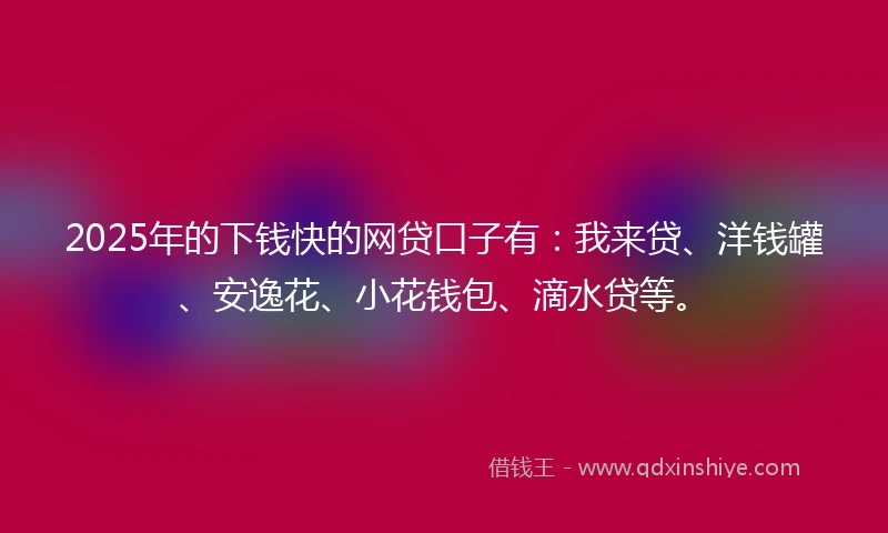 2025年的下钱快的网贷口子有：我来贷、洋钱罐、安逸花、小花钱包、滴水贷等。