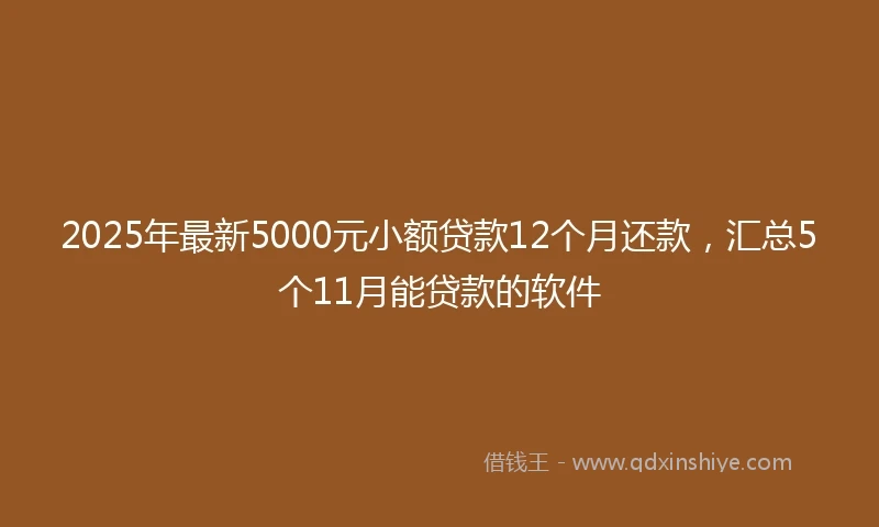 2025年最新5000元小额贷款12个月还款，汇总5个11月能贷款的软件