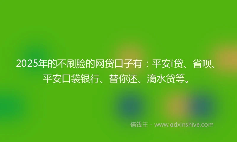 2025年的不刷脸的网贷口子有：平安i贷、省呗、平安口袋银行、替你还、滴水贷等。