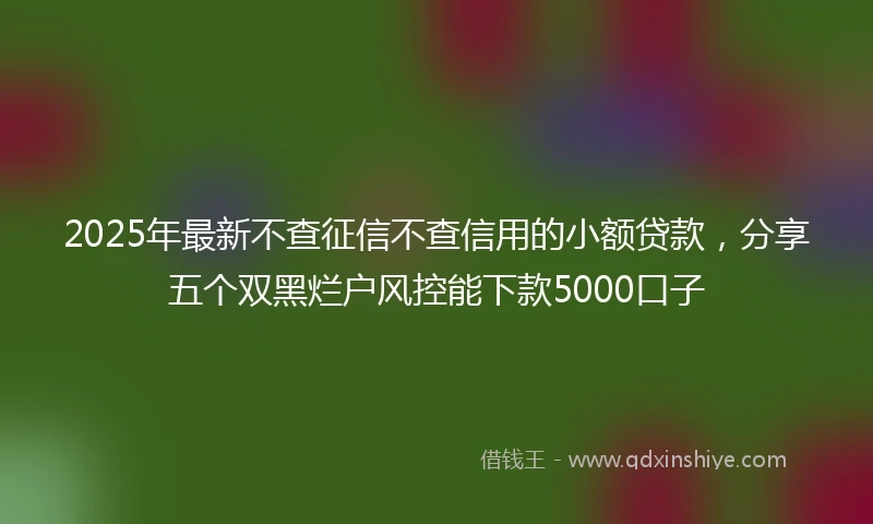 2025年最新不查征信不查信用的小额贷款，分享五个双黑烂户风控能下款5000口子