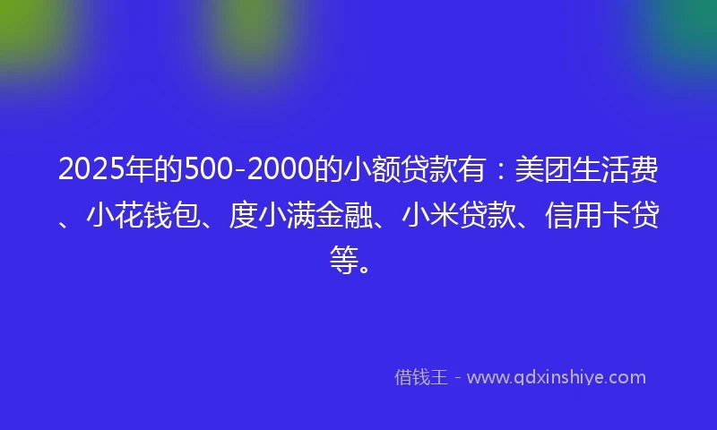 2025年的500-2000的小额贷款有：美团生活费、小花钱包、度小满金融、小米贷款、信用卡贷等。
