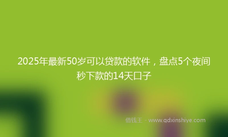 2025年最新50岁可以贷款的软件，盘点5个夜间秒下款的14天口子