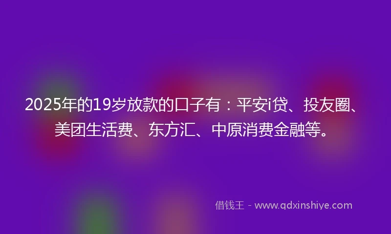 2025年的19岁放款的口子有：平安i贷、投友圈、美团生活费、东方汇、中原消费金融等。