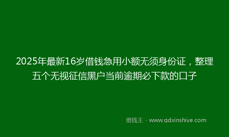 2025年最新16岁借钱急用小额无须身份证，整理五个无视征信黑户当前逾期必下款的口子