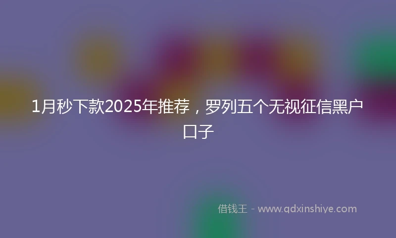 1月秒下款2025年推荐，罗列五个无视征信黑户口子