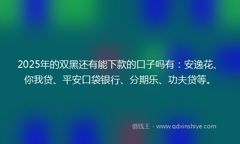 2025年的双黑还有能下款的口子吗有：安逸花、你我贷、平安口袋银行、分期乐、功夫贷等。