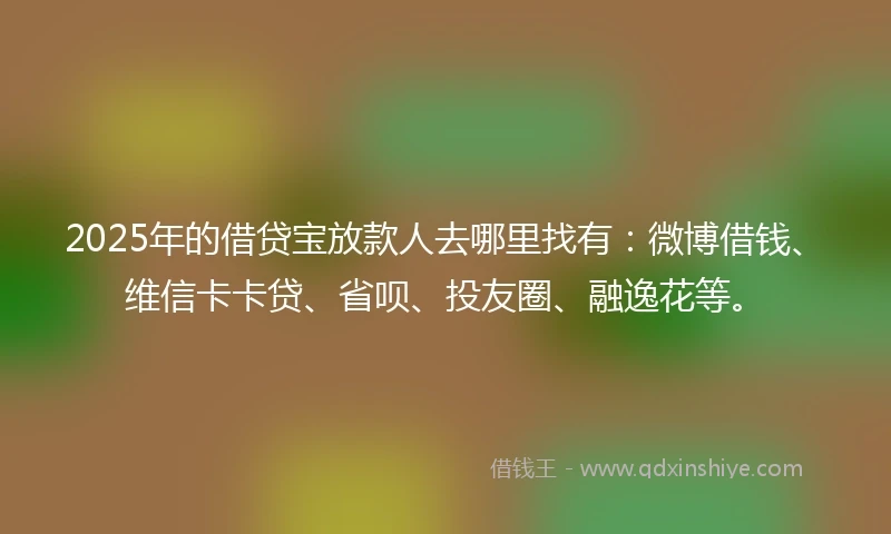 2025年的借贷宝放款人去哪里找有：微博借钱、维信卡卡贷、省呗、投友圈、融逸花等。