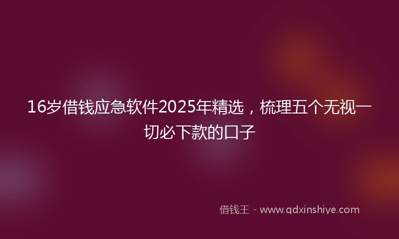 16岁借钱应急软件2025年精选，梳理五个无视一切必下款的口子