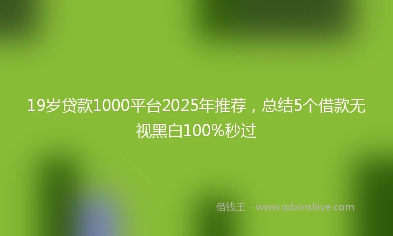 19岁贷款1000平台2025年推荐，总结5个借款无视黑白100%秒过