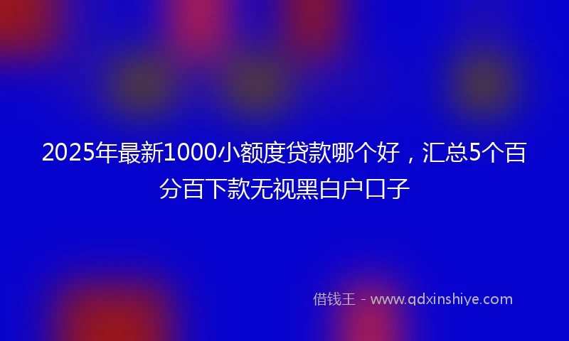 2025年最新1000小额度贷款哪个好，汇总5个百分百下款无视黑白户口子