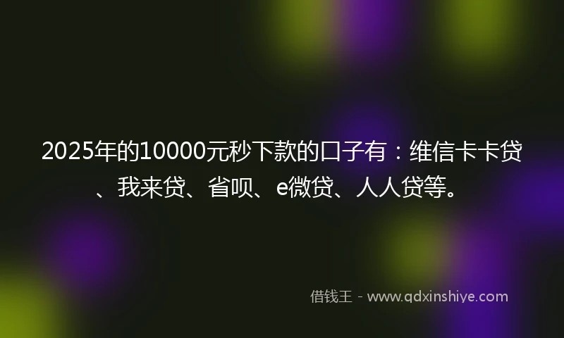 2025年的10000元秒下款的口子有：维信卡卡贷、我来贷、省呗、e微贷、人人贷等。