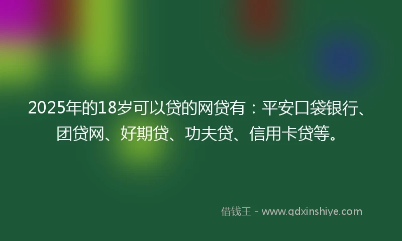 2025年的18岁可以贷的网贷有:平安口袋银行、团贷网、好期贷、功夫贷、信用卡贷等。