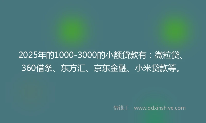 2025年的1000-3000的小额贷款有：微粒贷、360借条、东方汇、京东金融、小米贷款等。