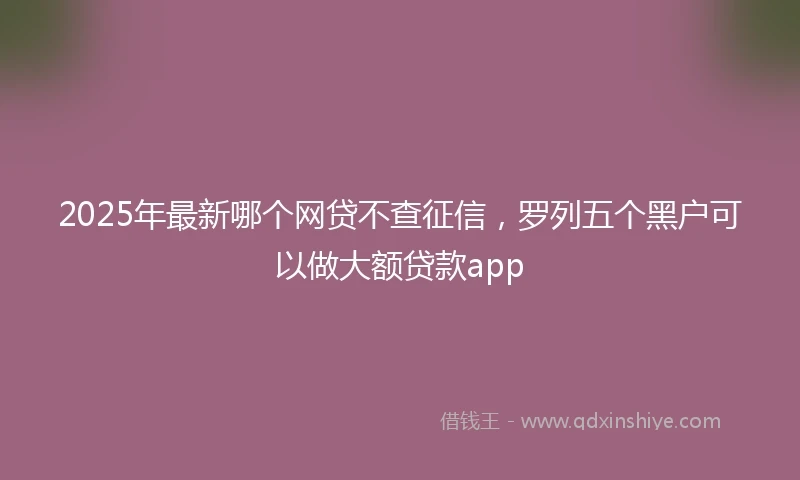 2025年最新哪个网贷不查征信，罗列五个黑户可以做大额贷款app