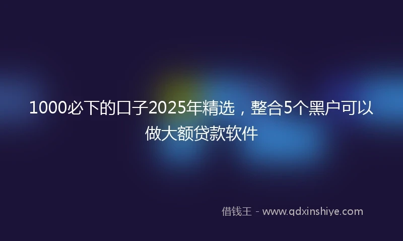 1000必下的口子2025年精选，整合5个黑户可以做大额贷款软件