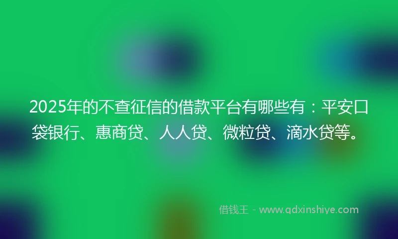 2025年的不查征信的借款平台有哪些有：平安口袋银行、惠商贷、人人贷、微粒贷、滴水贷等。