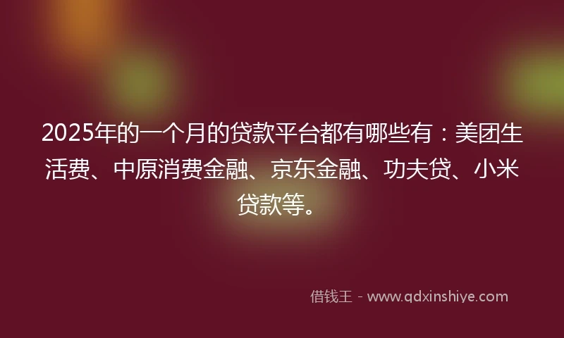 2025年的一个月的贷款平台都有哪些有：美团生活费、中原消费金融、京东金融、功夫贷、小米贷款等。