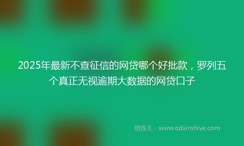 2025年最新不查征信的网贷哪个好批款，罗列五个真正无视逾期大数据的网贷口子