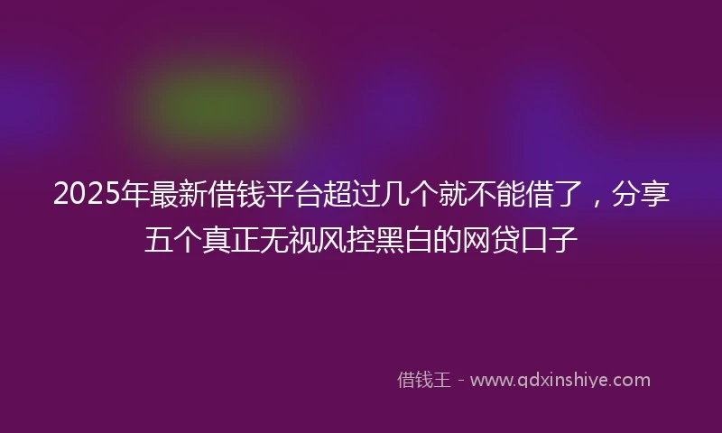 2025年最新借钱平台超过几个就不能借了，分享五个真正无视风控黑白的网贷口子