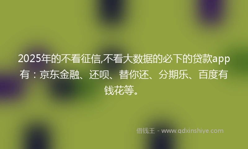 2025年的不看征信,不看大数据的必下的贷款app有：京东金融、还呗、替你还、分期乐、百度有钱花等。