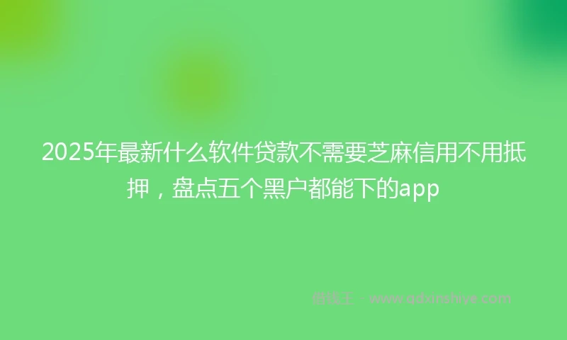 2025年最新什么软件贷款不需要芝麻信用不用抵押，盘点五个黑户都能下的app