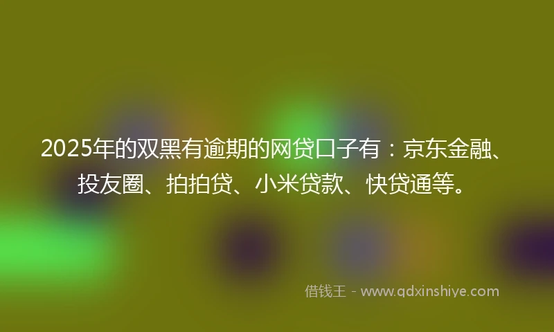 2025年的双黑有逾期的网贷口子有：京东金融、投友圈、拍拍贷、小米贷款、快贷通等。