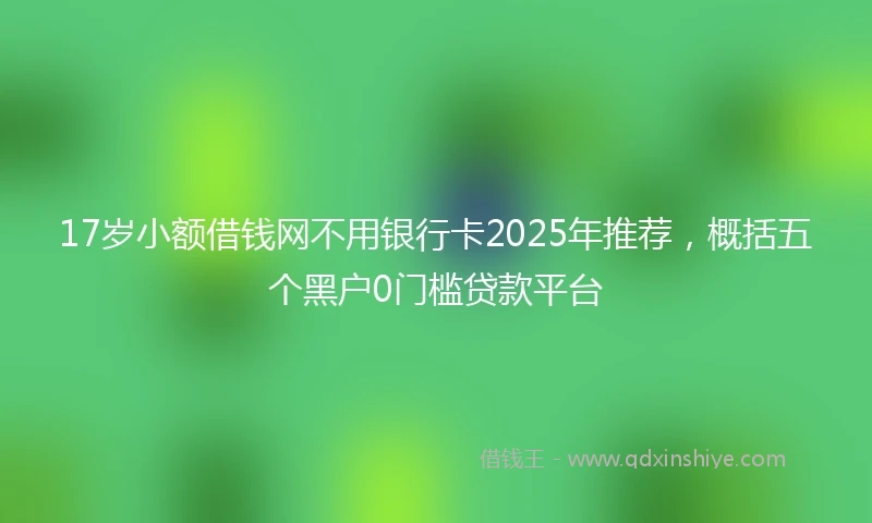 17岁小额借钱网不用银行卡2025年推荐，概括五个黑户0门槛贷款平台