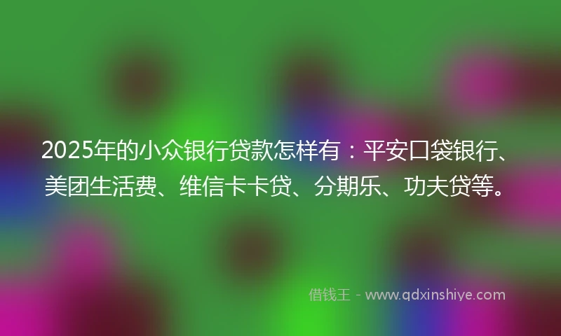 2025年的小众银行贷款怎样有：平安口袋银行、美团生活费、维信卡卡贷、分期乐、功夫贷等。