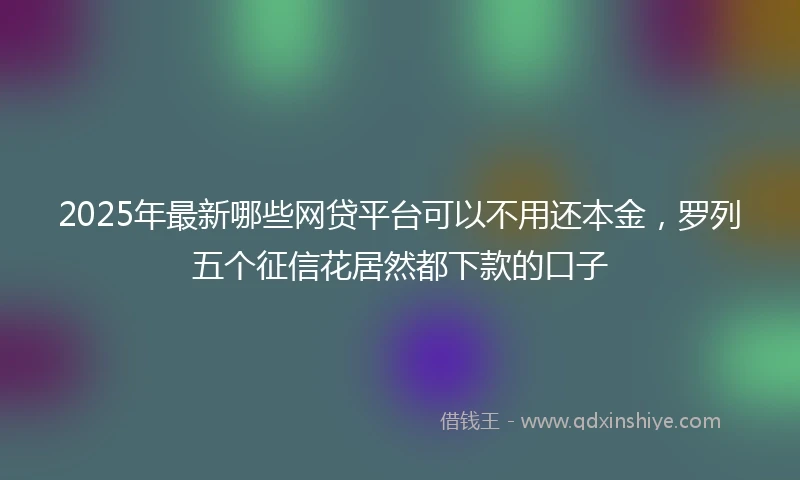 2025年最新哪些网贷平台可以不用还本金，罗列五个征信花居然都下款的口子