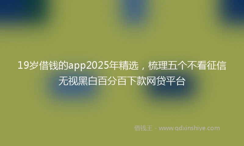 19岁借钱的app2025年精选，梳理五个不看征信无视黑白百分百下款网贷平台