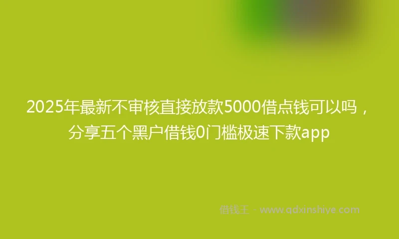2025年最新不审核直接放款5000借点钱可以吗，分享五个黑户借钱0门槛极速下款app